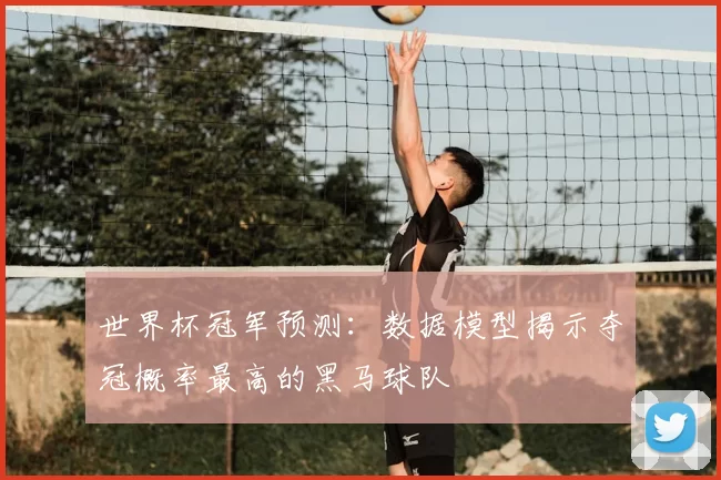 世界杯冠军预测：数据模型揭示夺冠概率最高的黑马球队
