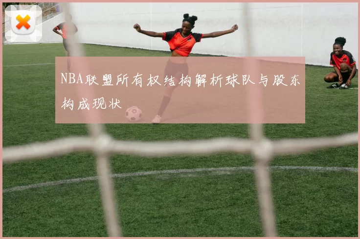 NBA联盟所有权结构解析球队与股东构成现状