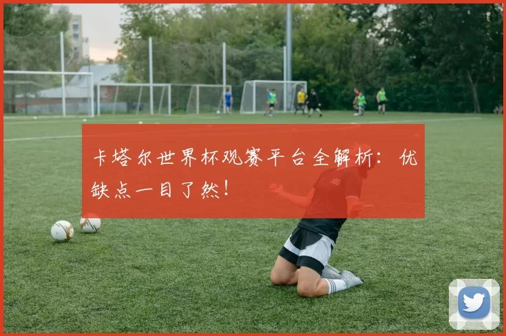 卡塔尔世界杯观赛平台全解析:优缺点一目了然!