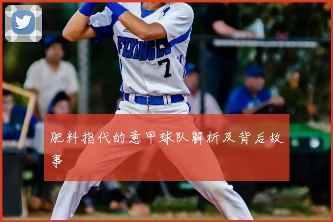 肥料指代的意甲球队解析及背后故事