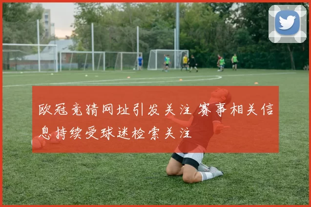 欧冠竞猜网址引发关注 赛事相关信息持续受球迷检索关注
