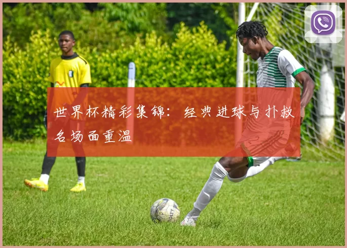 世界杯精彩集锦：经典进球与扑救名场面重温